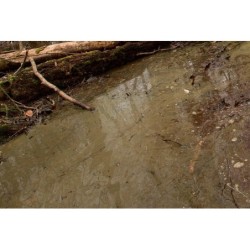 Water Gel Swamp Green Effects - 250ml (Acrylic)