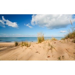 Terrains Beach Sand - 250ml (Acrylic)