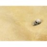 Terrains Desert Sand - 250ml (Acrylic)