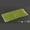 Strong Green 6mm Wild