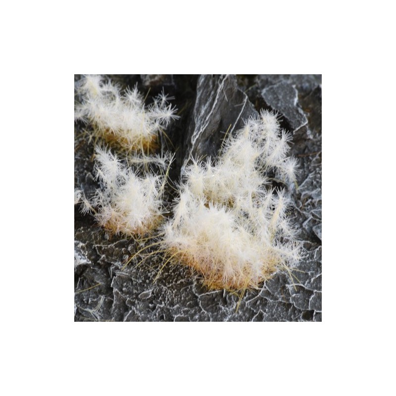 Spikey Winter Wild 12mm