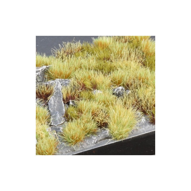 Marshland Set Wild