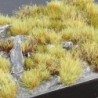 Marshland Set Wild