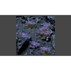 Violet Flowers Wild