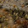 Laser Plants: Agave