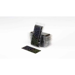 Laser Plants - Black Magic Taro