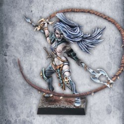 Dark Elf Beastmaster