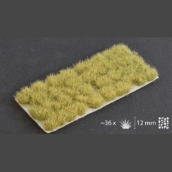 Autumn XL 12mm Wild