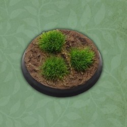 Spring Tufts (64)