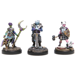 First Class - Cunning & Divine Miniatures - Adventures & Academia (Inglés)