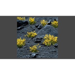Yellow Flowers Wild